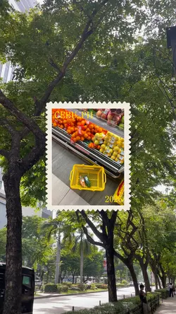 Stamp collection