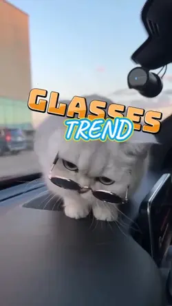 GLASSES TREND