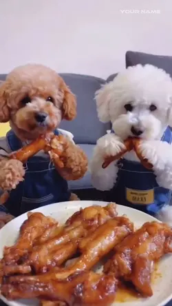 Cute ai dog video 