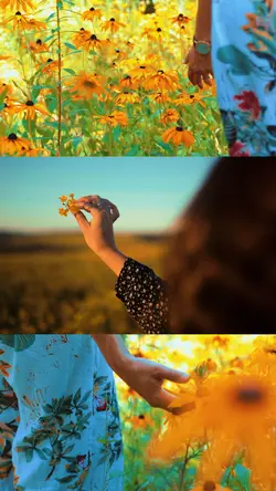 Vie romancé 