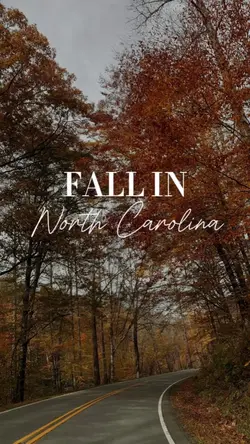 Fall Activities Vlog