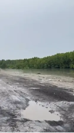 Excavator viral🔥