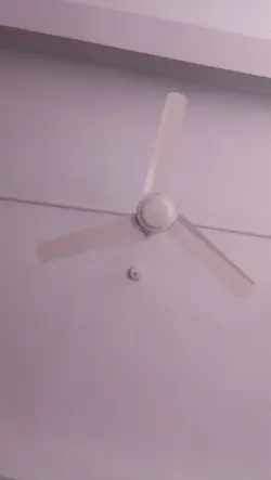 জান ভুলে গেছো