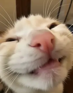 Cute 😜