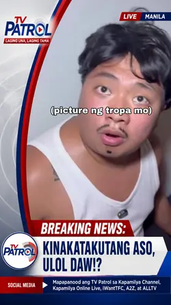 Asong ulol 