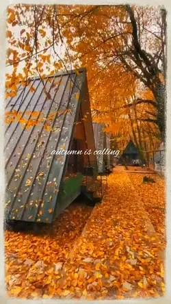 autumn is calling 