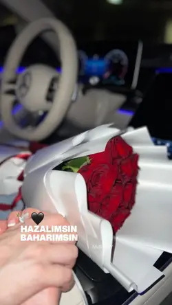 TEK VARLIĞIMSIN ...