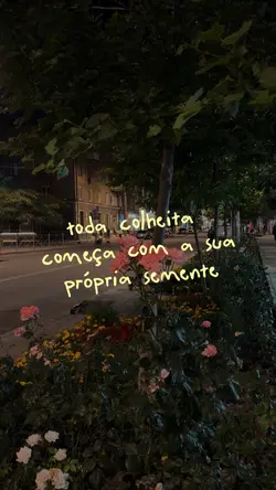 Vídeo e frase ✨🌻