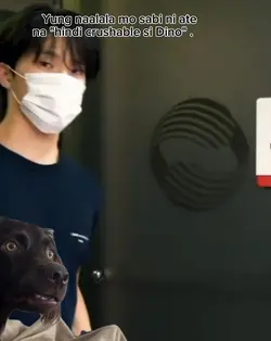 Seventeen Dino