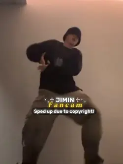 FANCAM