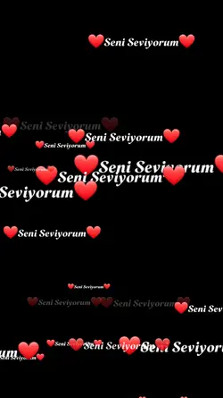seni seviyorum 