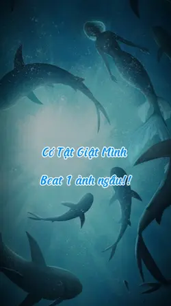 Mẫu 1 ảnh