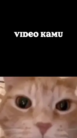 Kucing ketawa 