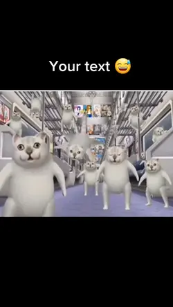 Funny cat dancing