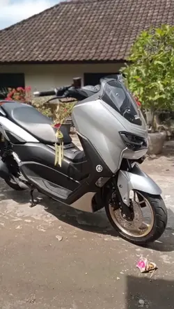 Dari yang muda