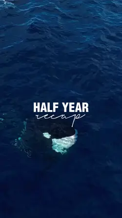 Half year recap 2025