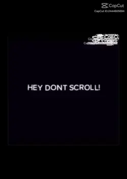 stop
