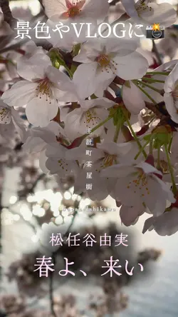 春よ来い🌸📸