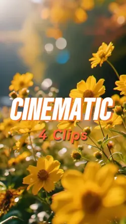 Cinematic 4 Clips