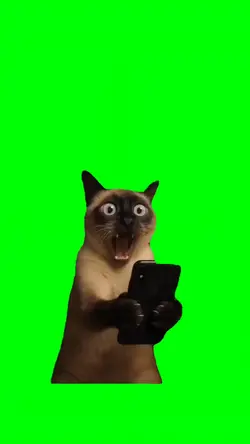 CAT SCREAMING