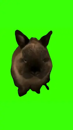 rabbit evil laugh
