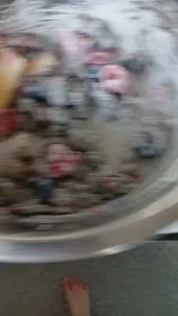 Edit of the dog food