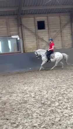 Slowmo