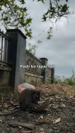 Pasti ko lapar toh