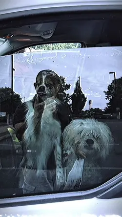 My dogs