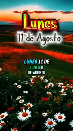 Lunes 11 de Agosto 
