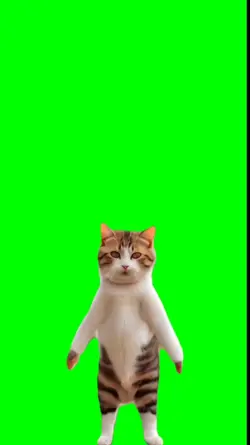 Gato Bailarin