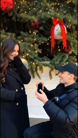 al fake proposal