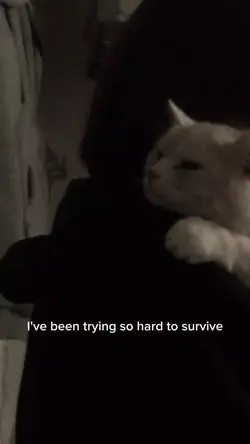 i wanna die