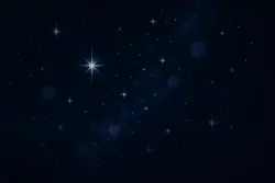 ランキング