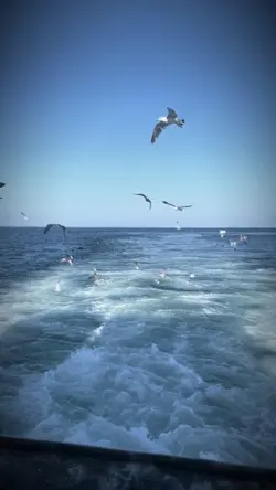 Slowmotion 
