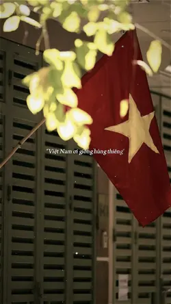Hào khí Việt Nam 
