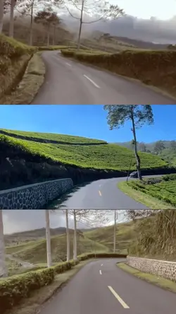 Layout 3 videos