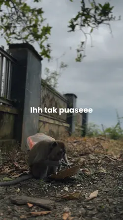 Ihh tak puaseee