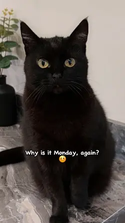 Munday again...