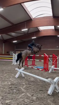 Jumping equestrian
