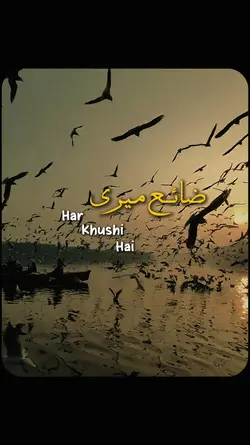 Tu Chahat