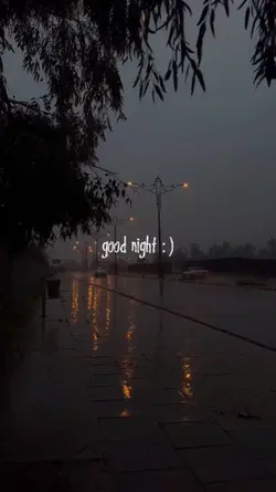 good night