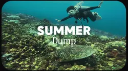 summer dump