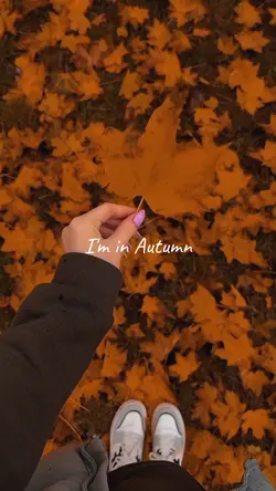 I'm in autumn