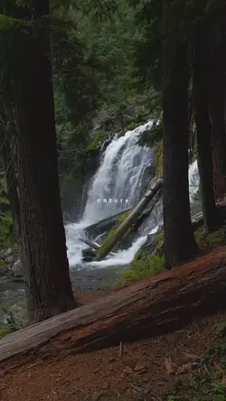 nature