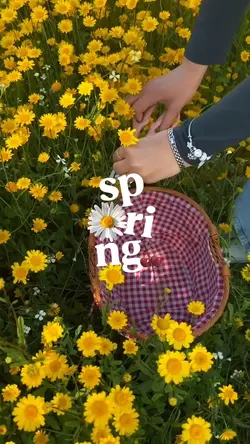 Spring Vibes