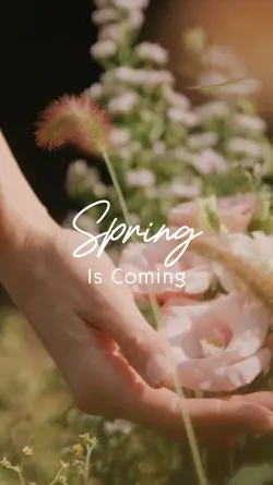 spring is coming