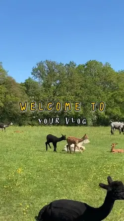 intro video