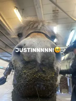 JUSTIIIINNNN