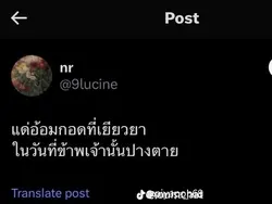 แมวเท่านั้น